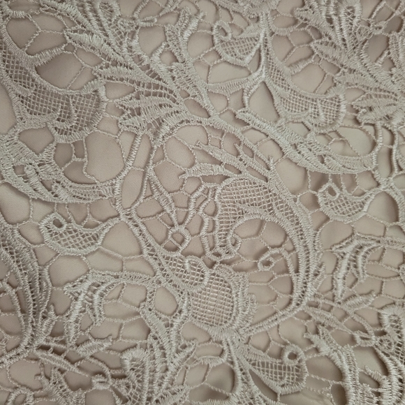 Adrianna PapellCap-Sleeve Illusion Lace Gown Size 14 - Picture 13 of 16